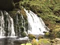 秋田県にかほ市の鳥海山のふもとにある滝です。マイナスイオンたっぷり(^_^)